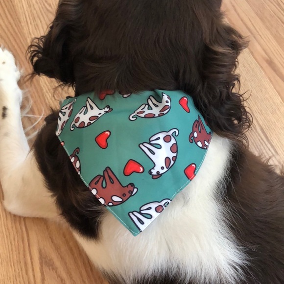DOG COLLAR WITH SLIDE ON BANDANA SMALL TO MEDIUM